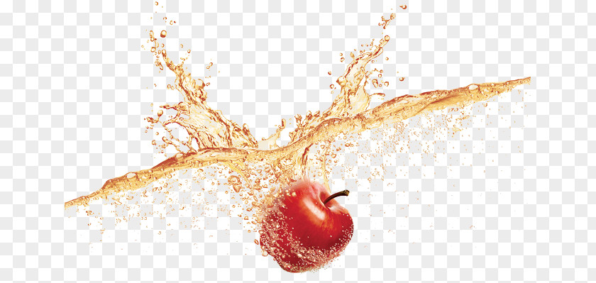 Apple Fell Into The Water Macintosh Auglis PNG