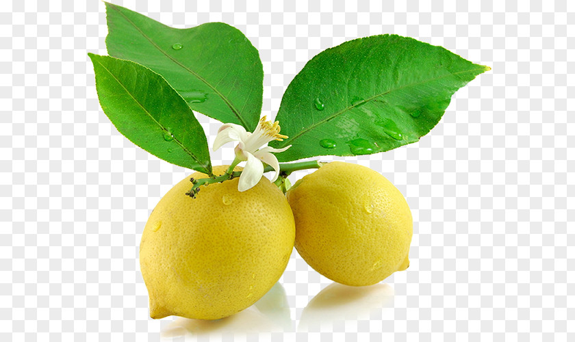 Lemon Lemonade Juice Persian Lime Food PNG