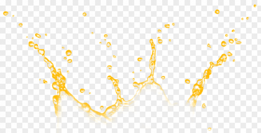 Splash Pic Orange Juice PNG