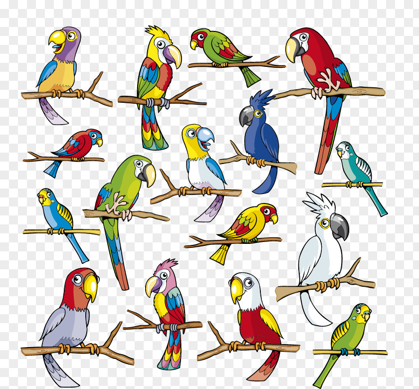 Cartoon Parrot Vector Graphics Image Cuteness Painting PNG