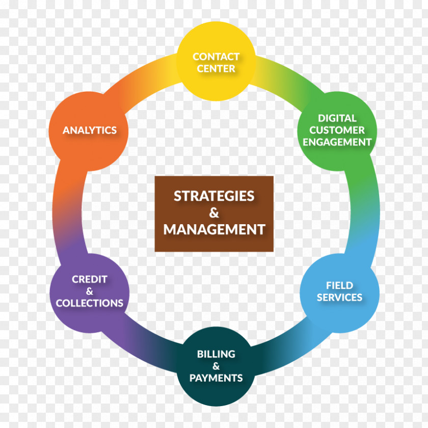 Customer Service Biological Life Cycle Brand PNG