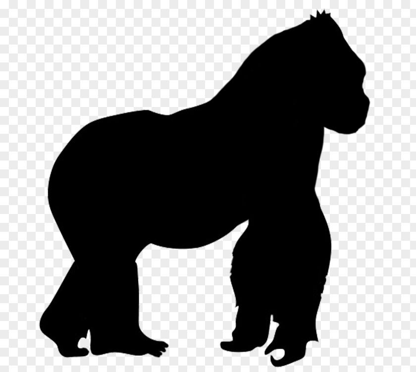Ferret Gorilla Silhouette Clip Art PNG