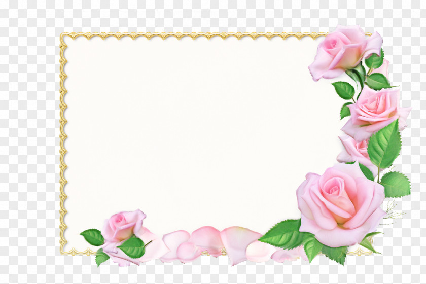 Garden Roses PNG