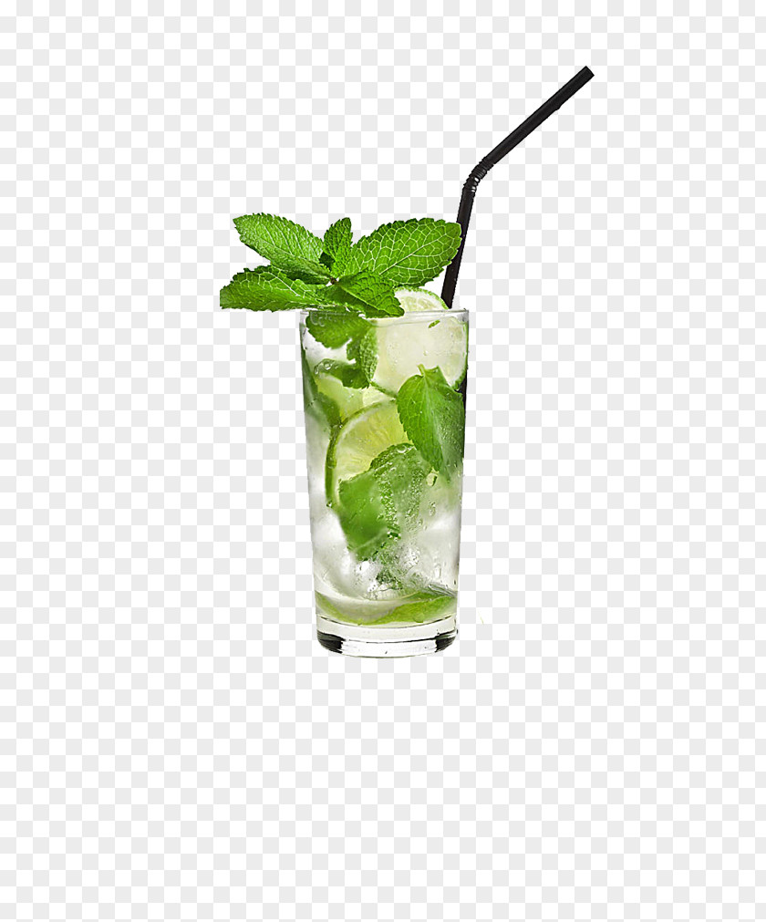 Lemonade Mojito Cocktail Tea Rum Drink PNG