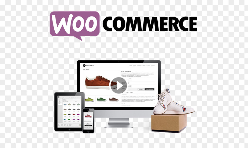 WordPress WooCommerce Plug-in E-commerce Installation PNG