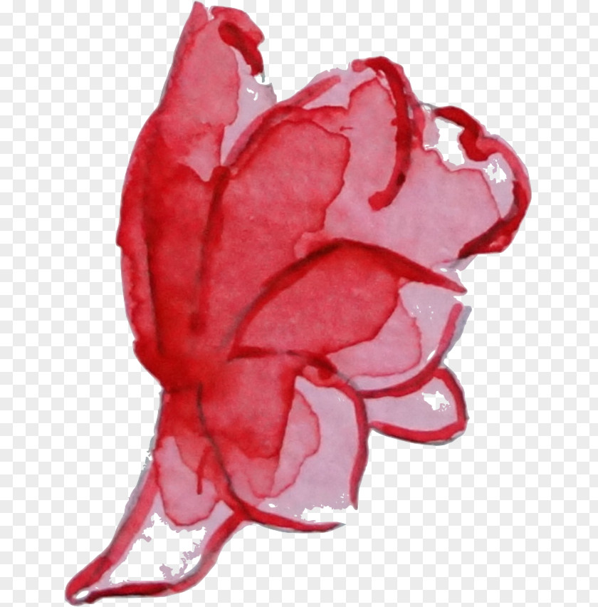 Aquarell Flower Garden Roses Centifolia Watercolor Painting Clip Art PNG