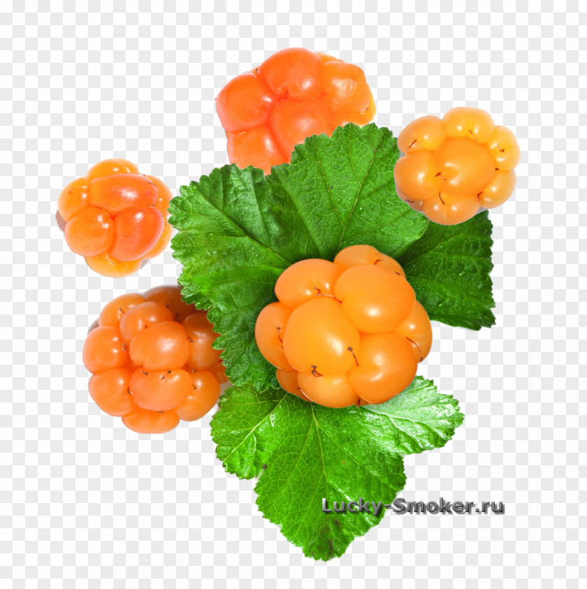 черника Cloudberry Red Raspberry Blackcurrant PNG