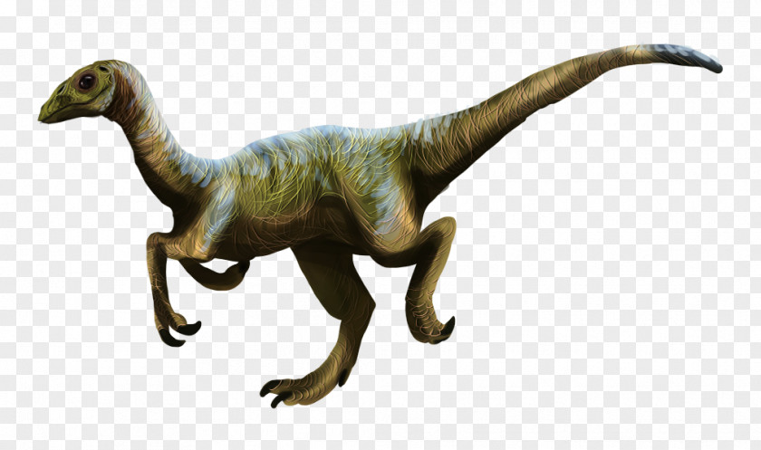 Dinosaur Velociraptor Compsognathus Stegosaurus Tyrannosaurus ARK: Survival Evolved PNG