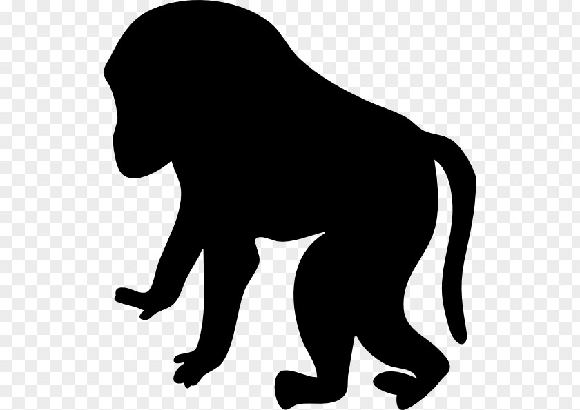 Monkey Macaque Primate Cercopithecidae Clip Art PNG