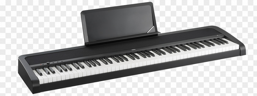 Piano Korg B1 Digital Keyboard Musical Instruments PNG