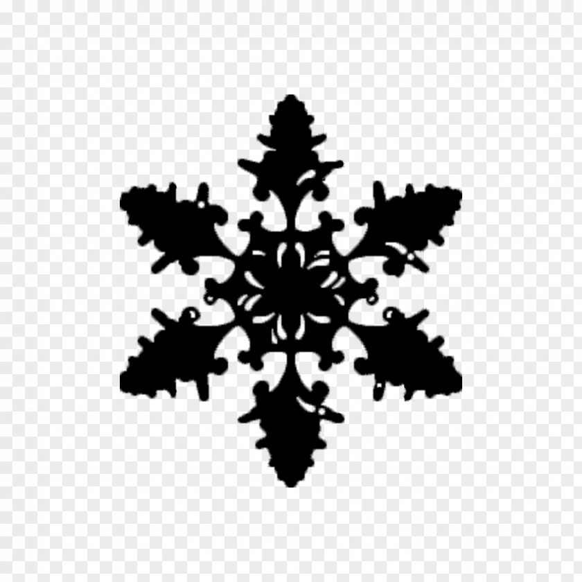 Plant Snowflake Background PNG