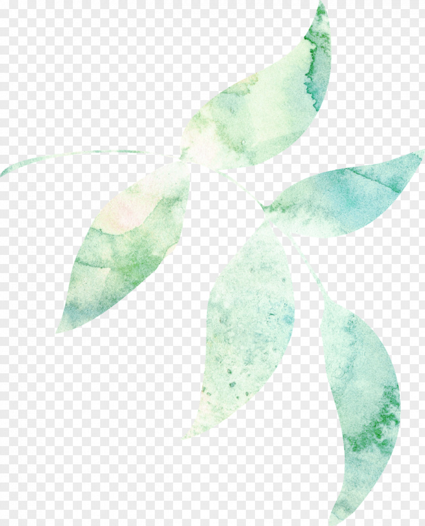 WATERCOLOR LEAF Turquoise Teal Leaf PNG