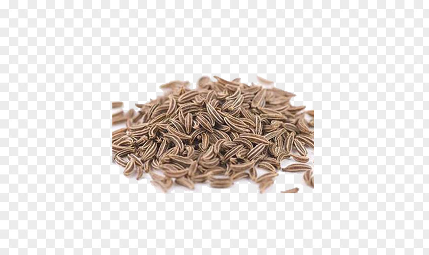 Caraway Spice Fennel Flower Seed Cumin PNG