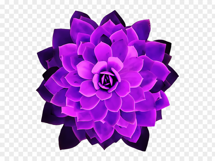 Cut Flowers Purple Petal Flower PNG