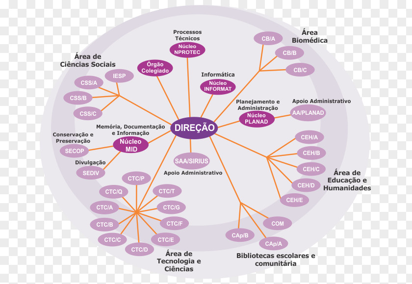 Design Circle Diagram PNG