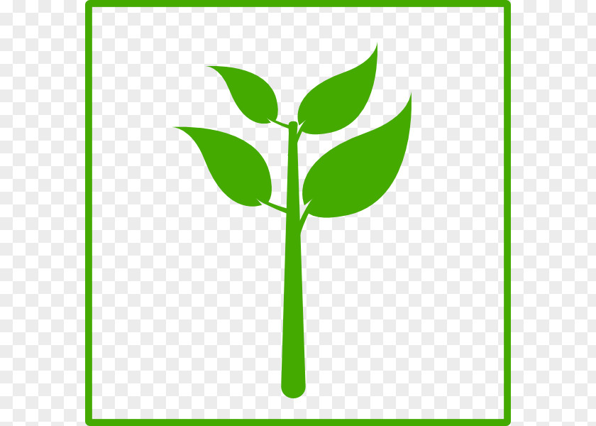 Free High Quality Plant Icon Green Favicon Clip Art PNG