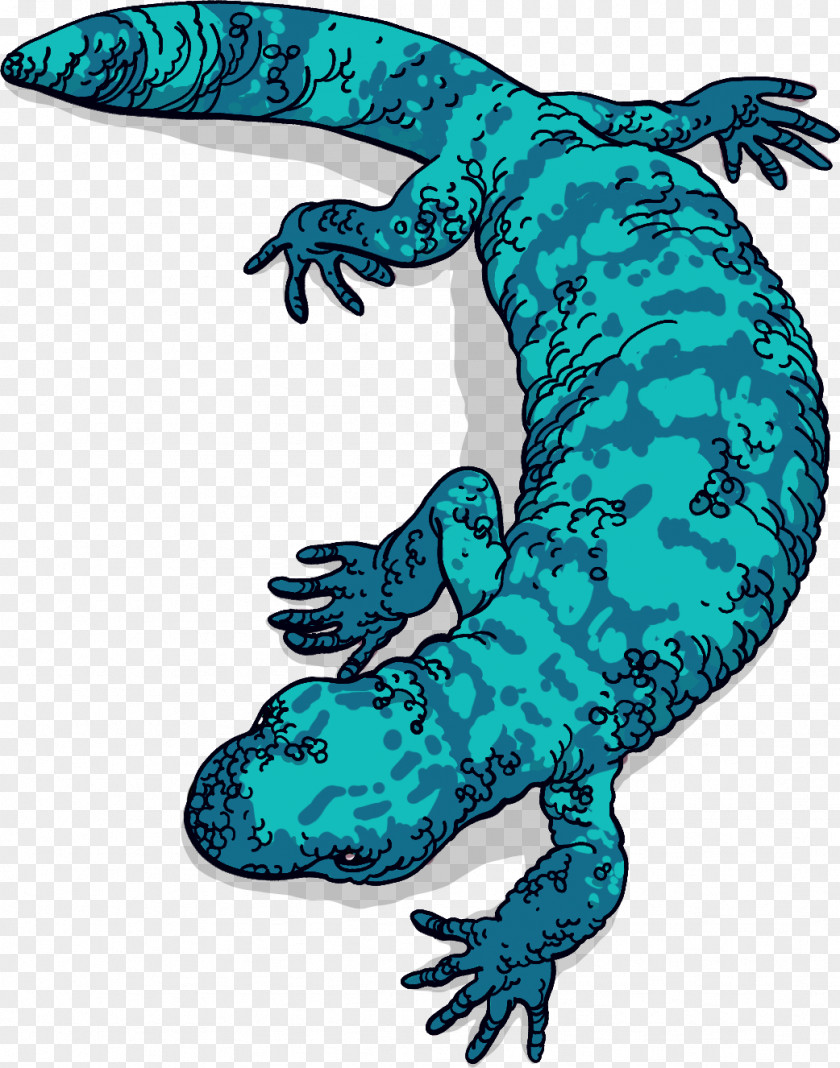 Lizard Gila Monster Reptile Exenatide Venom PNG