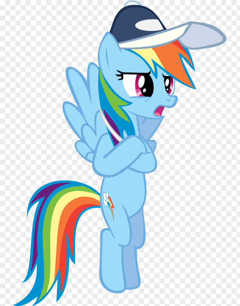 Pony Rainbow Dash Scootaloo DeviantArt PNG