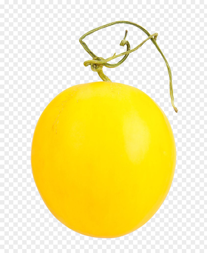 Yellow Melon Lemon Orange PNG