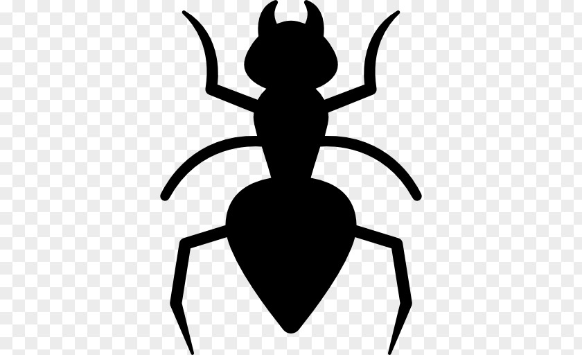 Ants Vector Ant Cockroach Insect Pest Control PNG