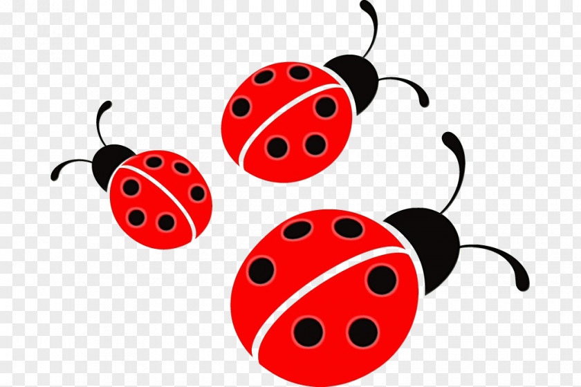 Beetle Ladybug Christmas Gift Cartoon PNG