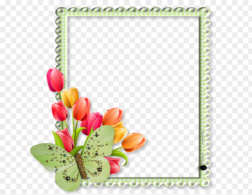 Dyplom Picture Frames Clip Art PNG