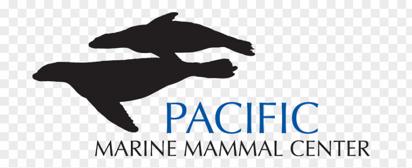Pacific Marine Mammal Center The Sea Lion PNG