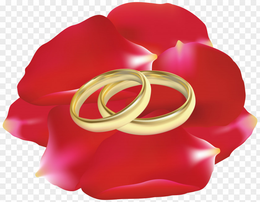 Rose Flower Rattan Wedding Invitation Ring Bride PNG