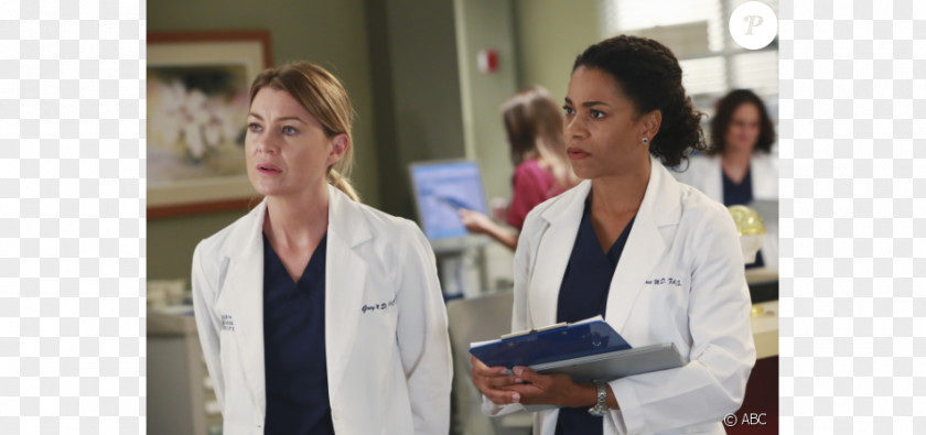 Season 12Ellen Pompeo Meredith Grey Maggie Pierce Callie Torres Nathan Riggs Grey's Anatomy PNG