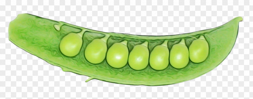 Snow Peas Legume Family Mouth Cartoon PNG