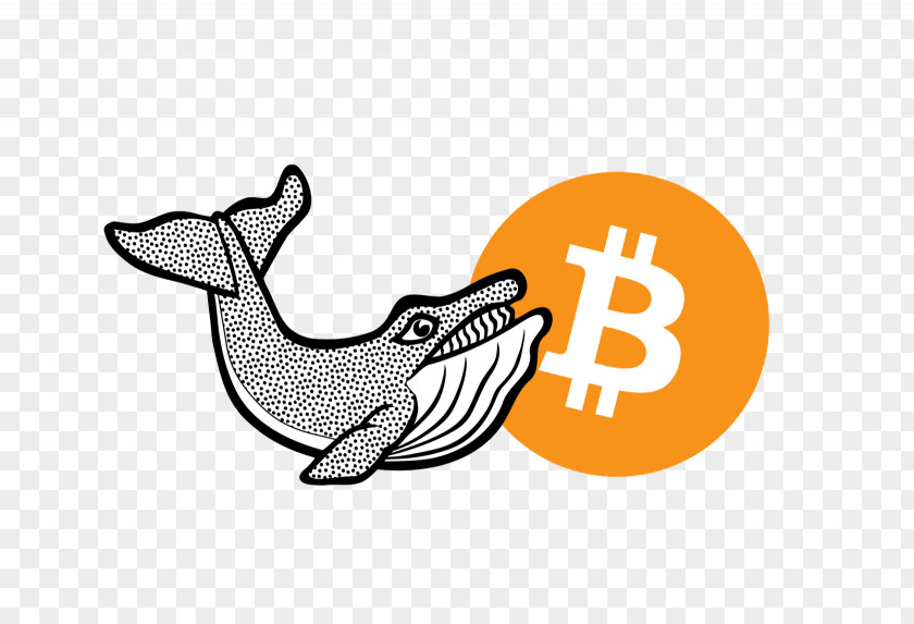 Whale T-shirt Cardano Cryptocurrency Market Bitcoin PNG
