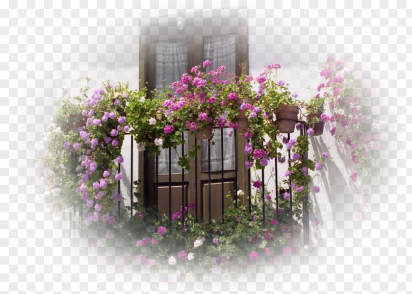 Window Balcony Freaky Flowers Balconet PNG