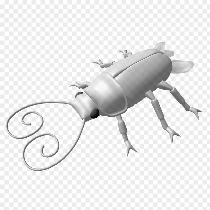 Beetle Product Design Pest PNG