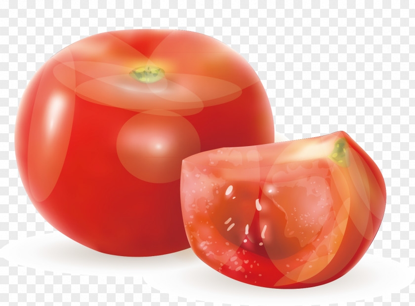 Decorative Design Of Tomatoes Plum Tomato Lor Mee PNG