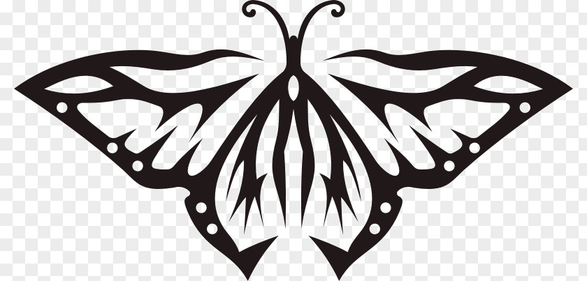 Design Abziehtattoo Monarch Butterfly Drawing Clip Art PNG