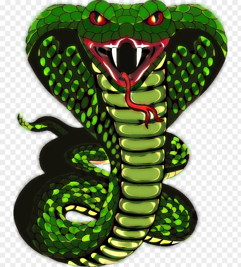 King Cobra Snake Scale PNG