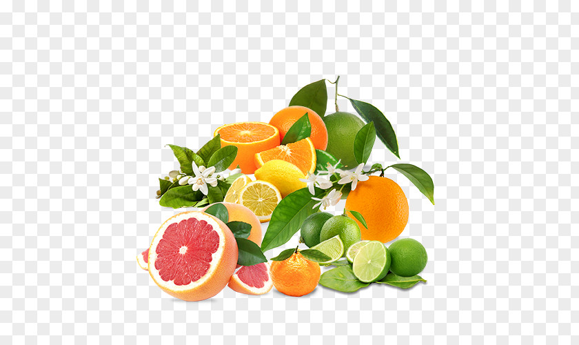 Lemon Clementine Mandarin Orange Food Tangerine PNG