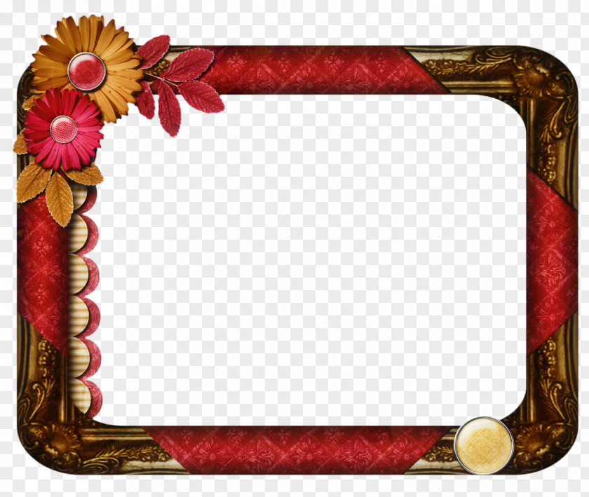 Picture Frames Image Photograph Borders And PNG