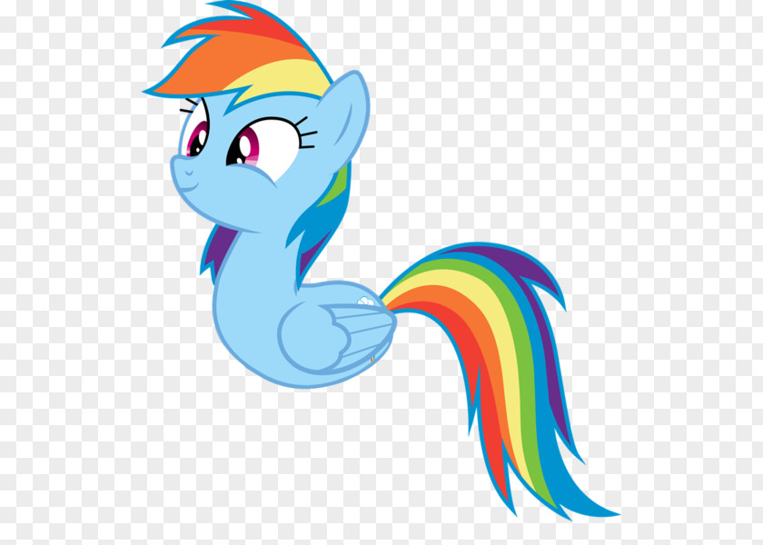 Rainbow Fash Dash My Little Pony Pinkie Pie Fluttershy PNG