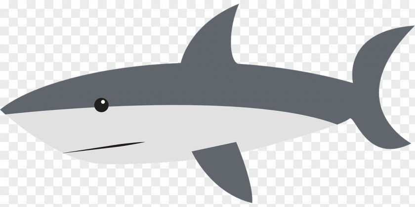 Swimming Shark Jaws Tiger Drawing Clip Art PNG