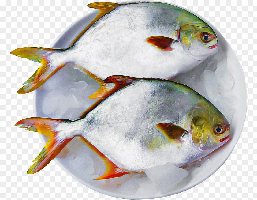 Bonyfish White Fish Bony-fish PNG