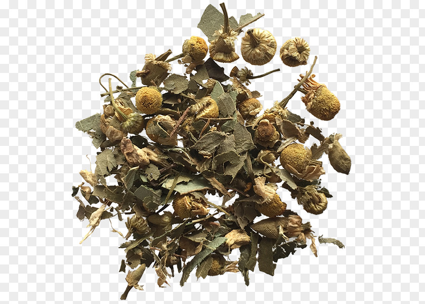 Chamomile Oolong Tieguanyin Green Tea Matcha PNG