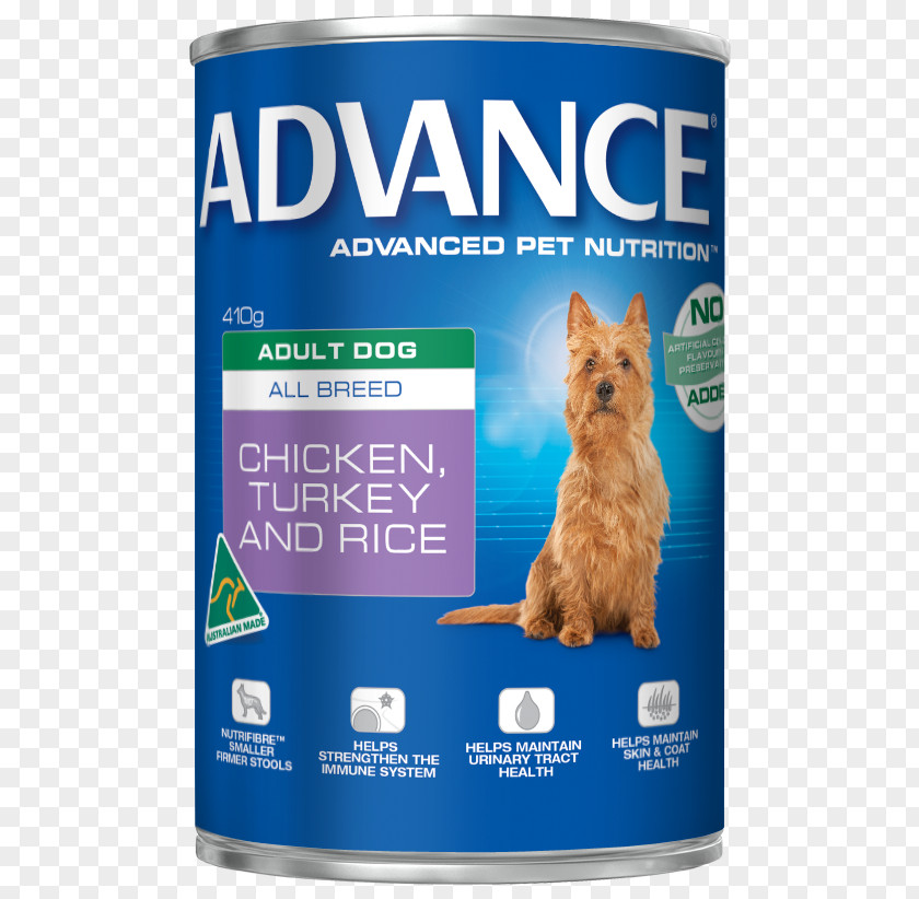 Dog Food Cat Chicken As Breed PNG
