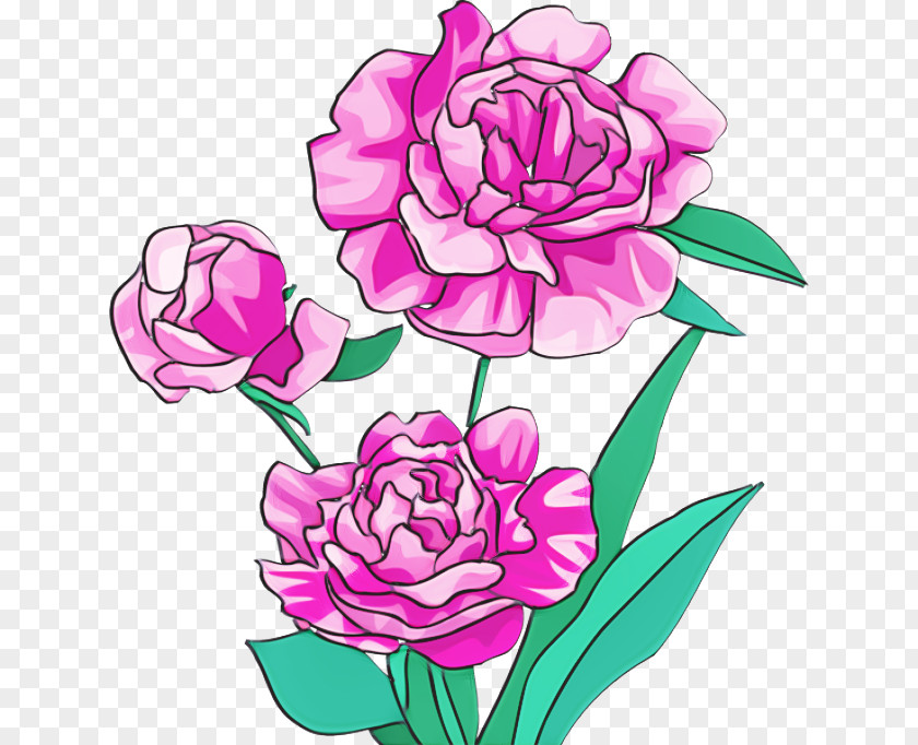 Floral Design PNG