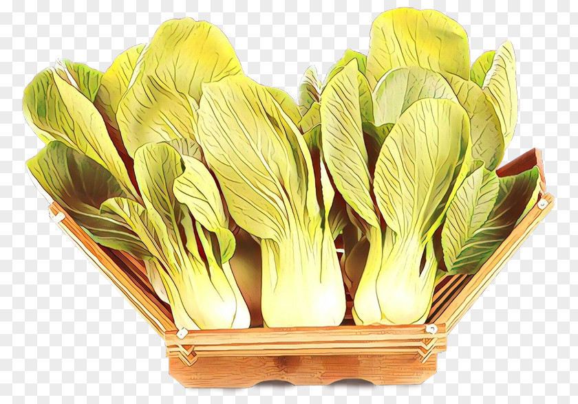 Flower Plant Chinese Cabbage Vegetable Petal PNG