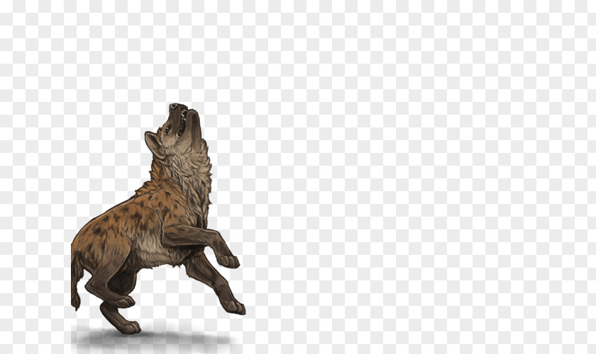 Hyena Lion Spotted Cat Carnivora PNG