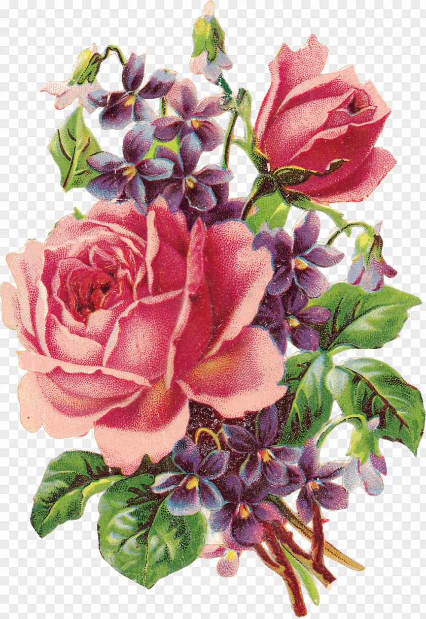 Rose Vintage Roses: Beautiful Varieties For Home And Garden Violet Flower Clip Art PNG