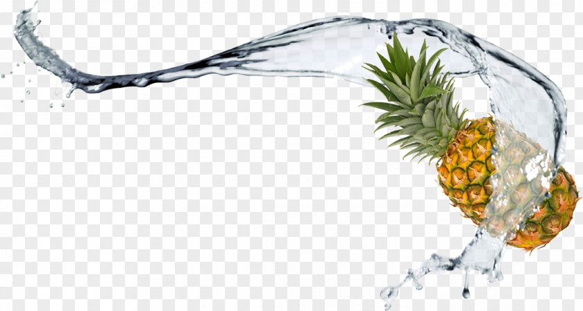 Spray And Pineapple TIFF PNG