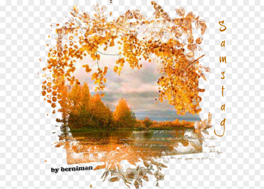 Autumn Samsung Galaxy Star Watercolor Painting PNG