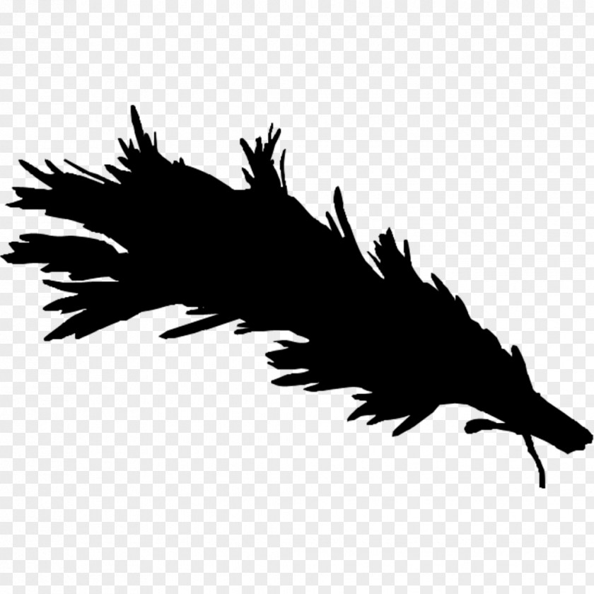 Bald Eagle Beak Font Silhouette Feather PNG